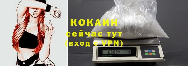 индика Пестово