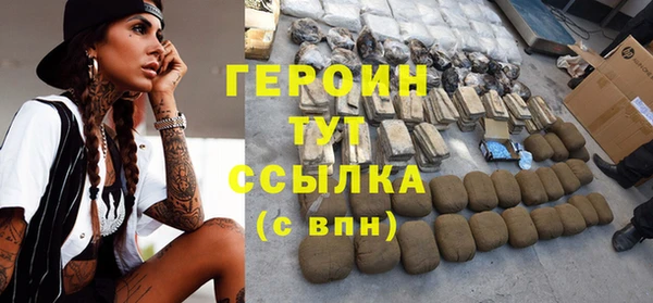 индика Пестово