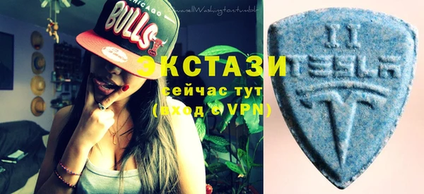 индика Пестово