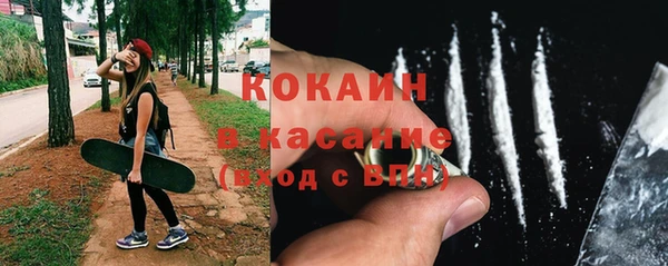индика Пестово