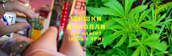 тгк Пересвет