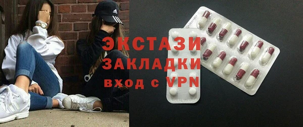 индика Пестово