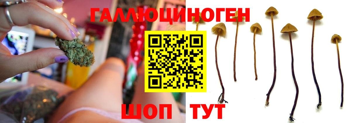 Псилоцибиновые грибы мухоморы  Лангепас 